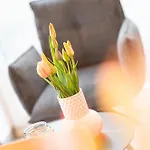 Hébergement de vacances Tinyhouse Moorhuette Nordsee Kueste Wanna
